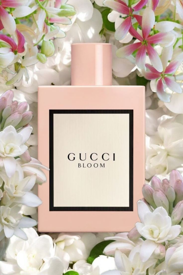 ميس ديور + قوتشي بلوم